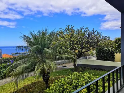 a balcony with a view of the ocean and palm trees at Apartamentos Quinta Mae dos Homens in Funchal