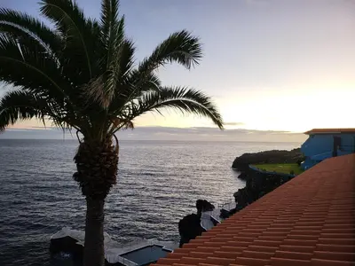 a man sitting next to a palm tree next to the ocean at Hotel Roca Mar in Caniço
