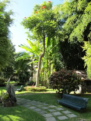 a park bench in a park with trees and grass at Hotel Girassol - Suite Hotel in Funchal