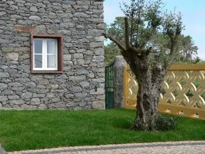 a tree in front of a stone building with a window at Colina Da Faja in Fajã da Ovelha