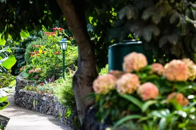 a garden with flowers and a tree and a street light at Casa Miguel in Machico