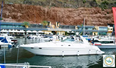 a white boat docked in a marina with other boats at Casa Amarela in Funchal