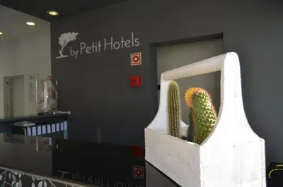 a cactus in a paper bag in a office at Madeira Bright Star by Petit Hotels in Funchal