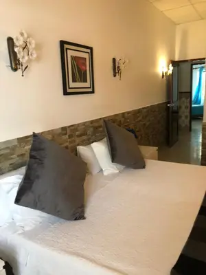 a bedroom with a bed with two pillows on it at Apartamentos e Quartos Atalaia in Sagres