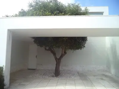 a tree sitting inside of a white building with a door at Casa dos Pátios in Sagres