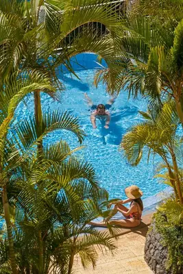 two people in a swimming pool with palm trees at Arcadas III by An Island Apart in Funchal