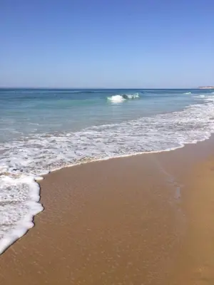 a beach with the ocean and the shoreline at Beach Condominium in Lagos