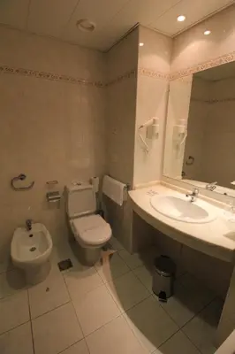 a bathroom with a toilet and a sink at Suite Hotel Jardins Da Ajuda in Funchal
