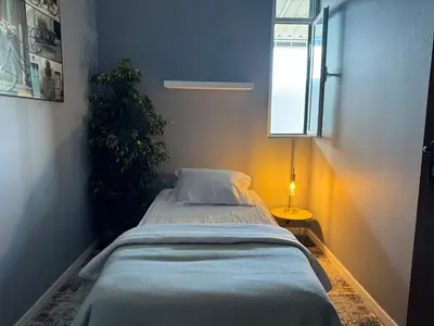 a bed in a room with a plant next to a window at Residencial Funchal in Funchal