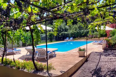 a swimming pool with a table and chairs and trees at OurMadeira - Casa do Feitor in Funchal