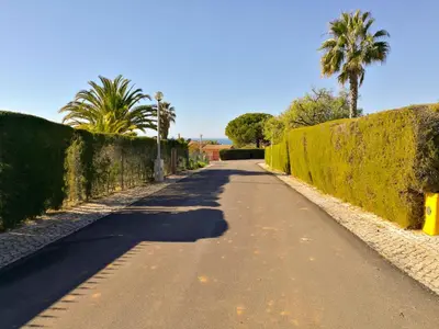 an empty road with palm trees and a fence at Porto Mos Residence in Lagos