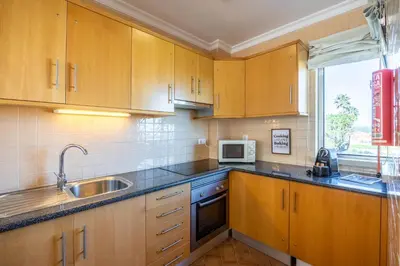 a kitchen with wooden cabinets and a sink and a microwave at Pontalaia Apartamentos Turísticos in Sagres