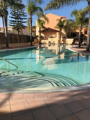 a swimming pool with palm trees in a resort at Rother Praia da Luz Luxury Apartment in Luz