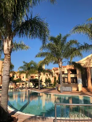 a swimming pool with palm trees in a resort at Rother Praia da Luz Luxury Apartment in Luz