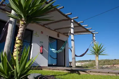 a house with a palm tree in front of it at Good Feeling Hostel & Guest House in Raposeira