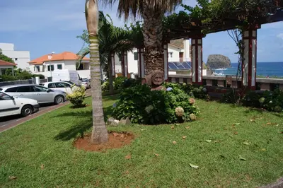 a palm tree in a bush next to a house at Hotel Costa Linda in Porto da Cruz