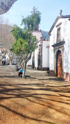 a person kneeling next to a tree in a courtyard at Grannies House in Machico