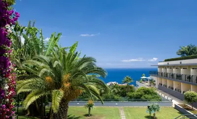 a view of the ocean from a hotel with a palm tree at Madeira Panorâmico Hotel in Funchal