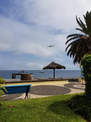 a blue bench in front of the ocean with an airplane at ZiZis Place in Santa Cruz