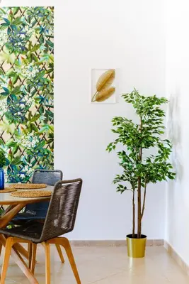 a dining room with a table and a plant at Boavista in Quatro Estradas