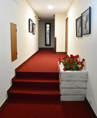 a hallway with a red carpet and stairs with flowers at Hotel Catedral in Funchal