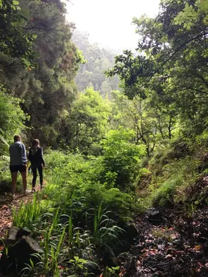 two people walking down a trail in the woods at Apartment Ocean Gardens in Caniço
