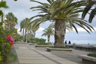 a palm tree on a sidewalk next to the beach at Apartment Ocean Gardens in Caniço