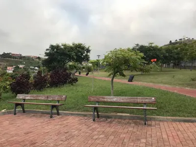 two benches in a park with a tree at Lou-Jos in Funchal