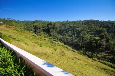 a view from the top of a hill with trees at Casa Benedita in Ponta do Pargo