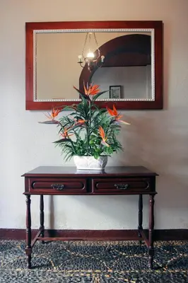 a table with a plant on it in front of a mirror at Hotel GORDON in Funchal