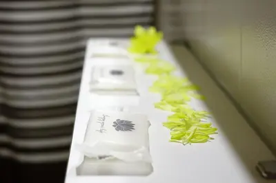 a row of toiletries on a counter with green plants at Hotel GORDON in Funchal