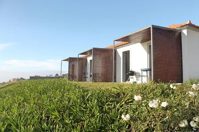 a row of houses on a hill with grass at OurMadeira - Quinta Inácia in Calheta