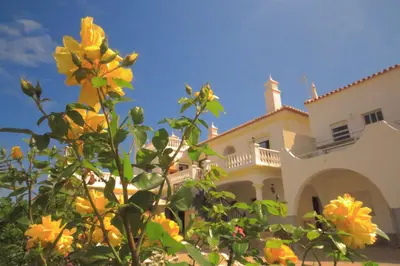 a house with yellow flowers in front of it at Residencia Quinta do Poço Guesthouse in Sagres