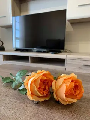 two orange roses on a table in front of a tv at Ilha Atlântico in Caniço