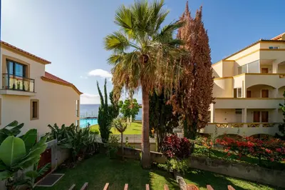 a view of a building with palm trees and the ocean at Casa do Lido by An Island Apart in Funchal