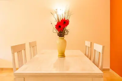 a vase with a red flower sitting on a table at Apartamento Boa Estrela in Luz
