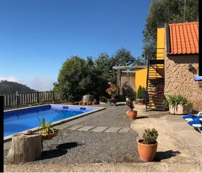a swimming pool with potted plants next to a house at Villa Safari Charm in Ribeira Brava