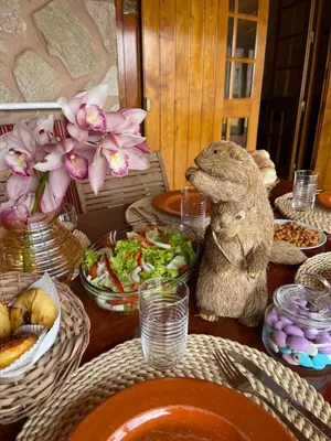 a table with plates of food and a stuffed animal at Villa Safari Charm in Ribeira Brava