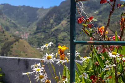 a bunch of flowers with a view of mountains at Casas Tipicas Candelaria Tabua in Ponta do Sol