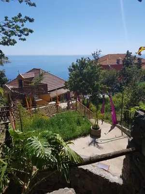 a view of a house with a garden and a house at Dazk Golden Estate in Ribeira Brava