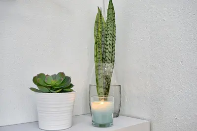 a candle and a potted plant on a shelf at Vista Mar, a Home in Madeira in Ponta do Sol