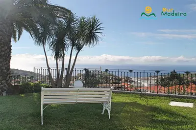 a white bench sitting in the grass near a palm tree at OurMadeira - BelAir in Funchal
