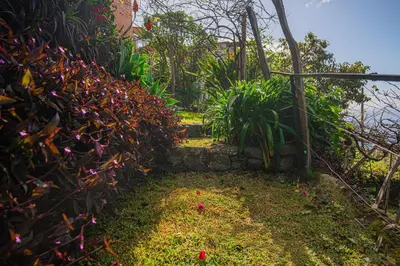 a garden with plants on the side of a building at Madeira-Meerblick-Haus in Estreito da Calheta