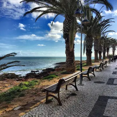 a row of benches next to the ocean with palm trees at OCEAN VIEW VILLA BELAMAR in Luz