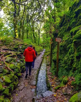 two people walking down a path in a forest at Casa do pescador in Machico