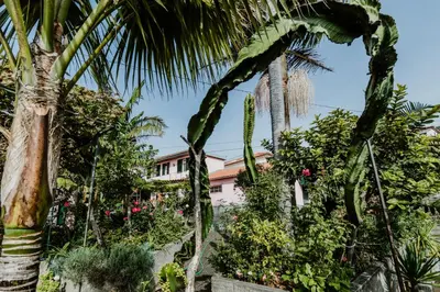 a garden with palm trees and plants at City View Gardens I in Funchal