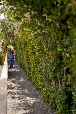 a woman walking down a sidewalk next to a row of bushes at Bordal Houses in Funchal