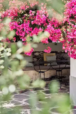 a bench with pink flowers in a garden at Bordal Houses in Funchal