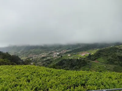 a view of a vineyard on a hill in the clouds at Matilde House in São Vicente