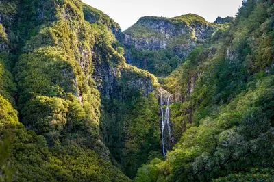 a waterfall in the middle of a mountain at King's House - Centennial House in Arco da Calheta